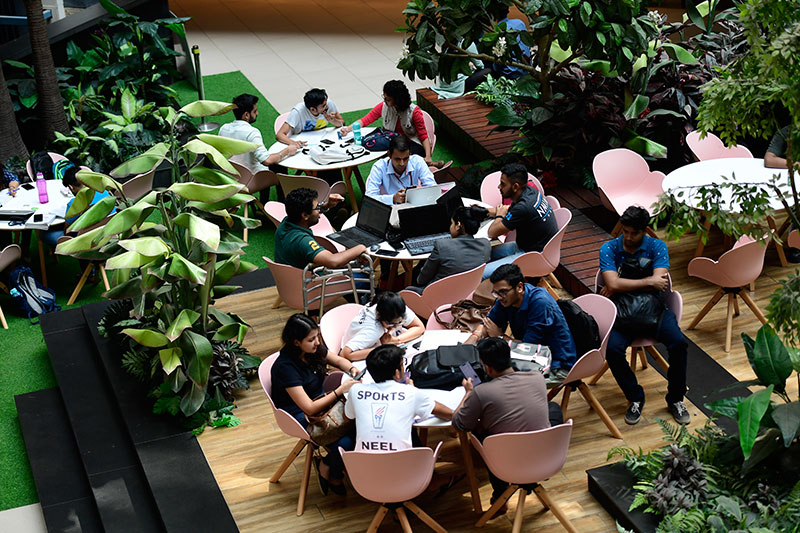 Students Studying Together